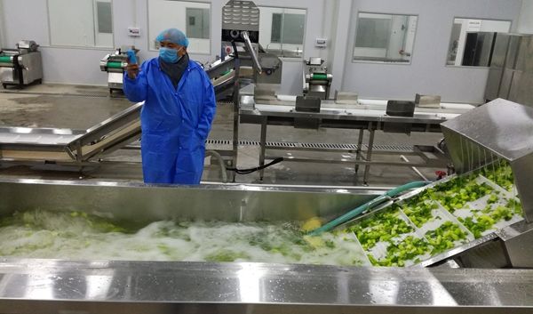 中小型食堂厨房设备清单预算 粗加工区